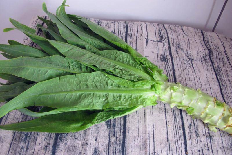 笋是根还是茎 1fd8419e5dc8462da5c83c6e1b0a81e4.jpeg