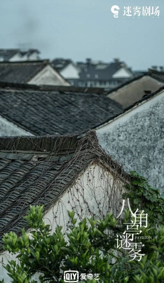 什么|继《扫黑风暴》后，又一部悬疑破案剧播出，剧情扑朔迷离！