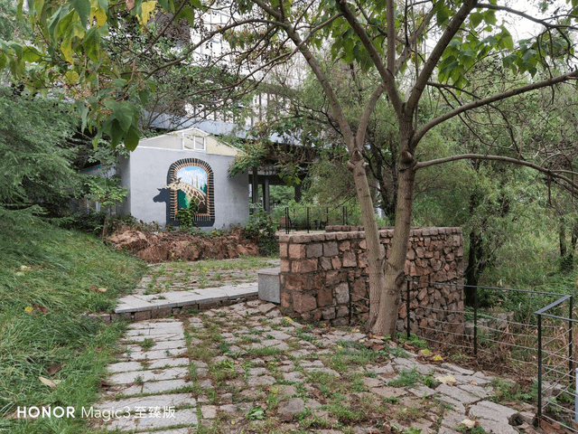 影像力冲顶高端市场！荣耀 Magic3 系列多主摄融合计算摄影体验如何？