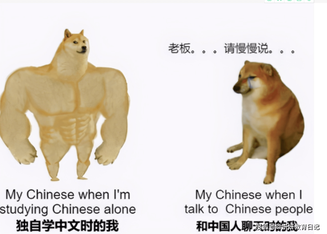 外国人学中文有多难，看看这组图就理解了，网友：还好我是中国人_语言