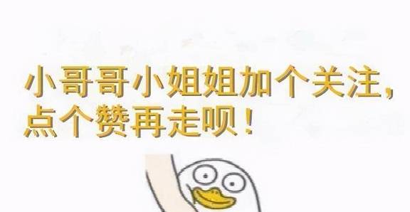 d8e0ef7876744a41a0c25ec72aeb8b04.jpeg