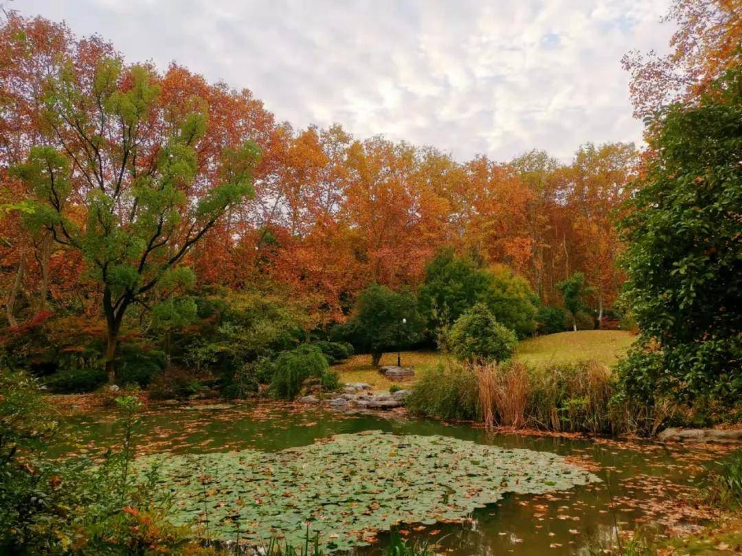 月亮湾公园,鱼梁洲环岛公园,襄城区有岘山森林公园,习家池,而高新区在