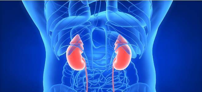 代谢|糖尿病肾病避开尿毒症，2项指标是关键，送你一份护肾指南