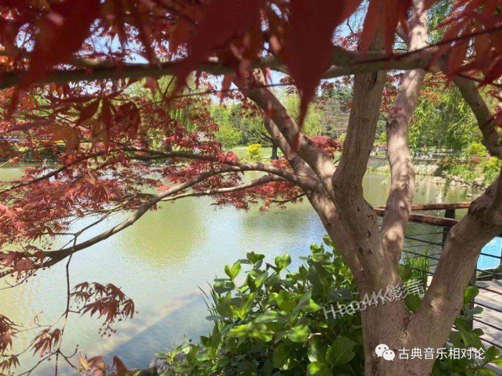 手把手教你怎么搭配一套高颜值且好声的影音系统（下）