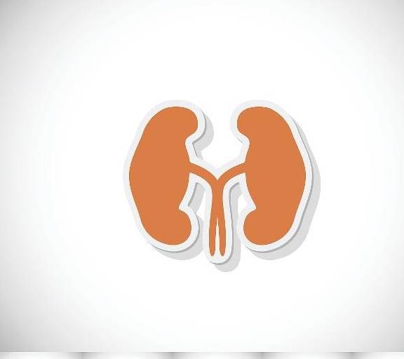 肾脏|无端有这4个感受,可能肾积水在发出“攻击”,要警惕