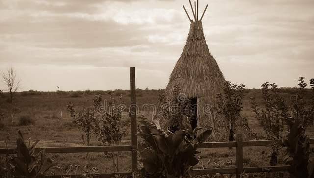 美国原住民被杀了多少人 eb4231089573410caf5662f9f5bf0c8c.jpeg