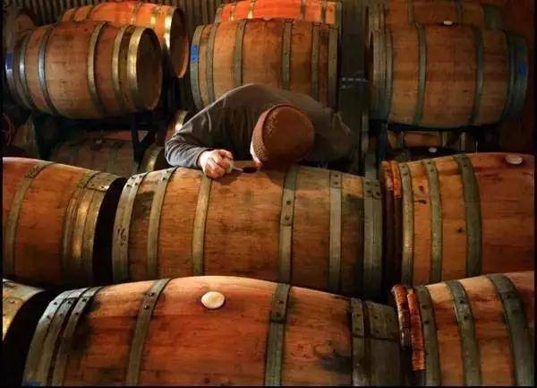 进行|经过“橡木桶”培养的葡萄酒才是好酒？不一定，教你一招分辨好坏
