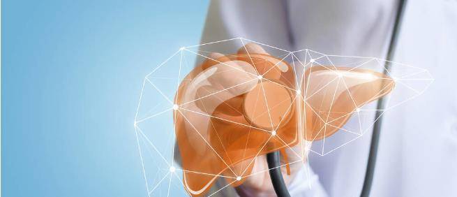 肝脏|肝纤维化是什么？是否可以逆转？