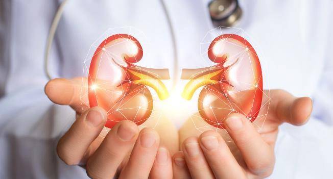 进行|得了慢性肾病怎么办?治疗护理4步走,防止肾衰竭