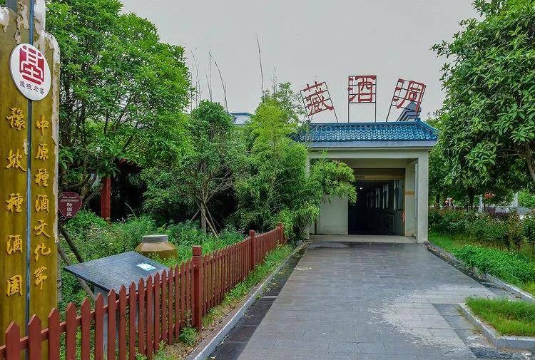 定了豫坡酱意浓香第二届中原种酒文化旅游节将在10月24日举行