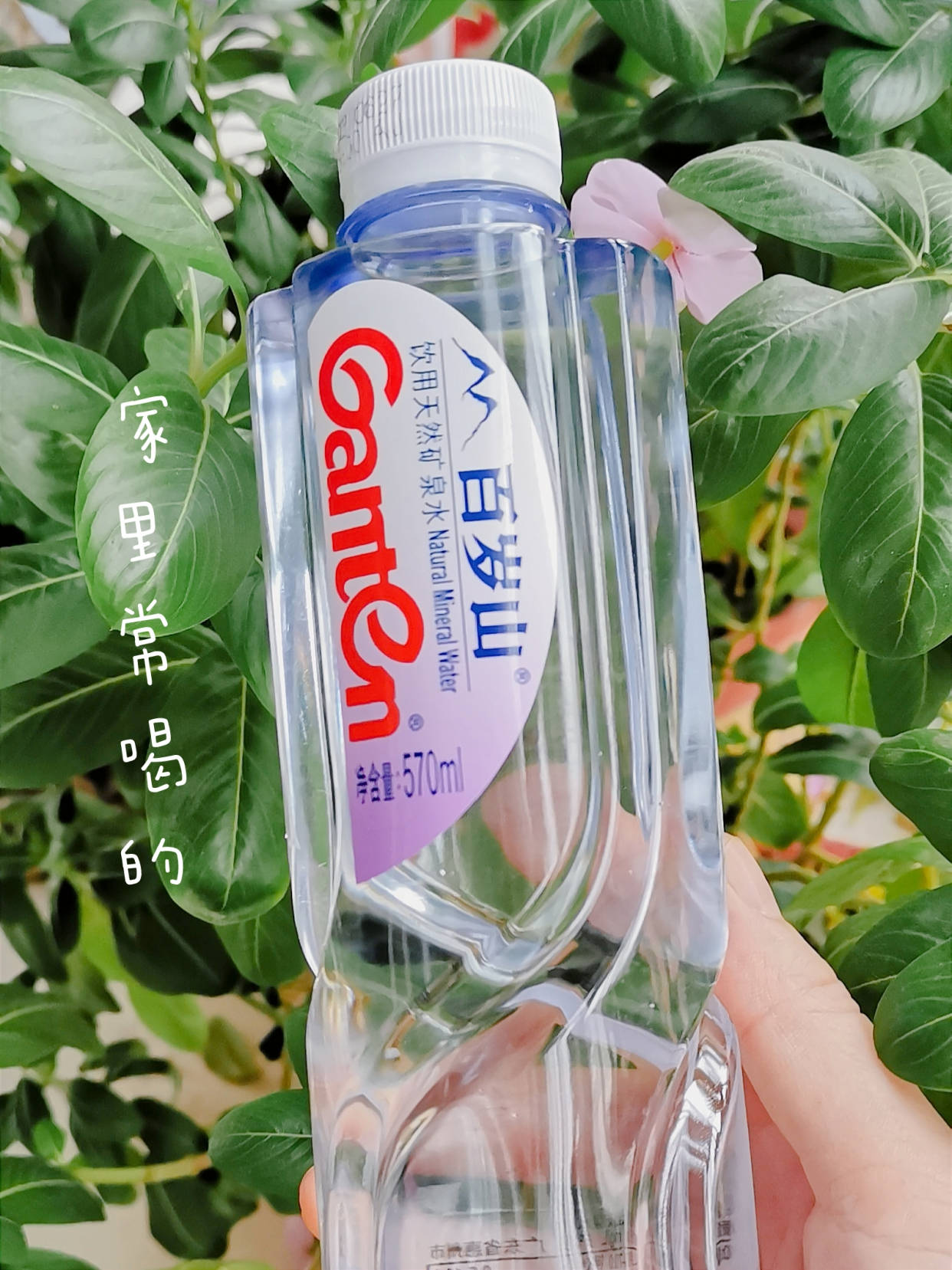 我对煮丸子汤的水质要求较高,家里平常喝的都是百岁山天然矿泉水,无论