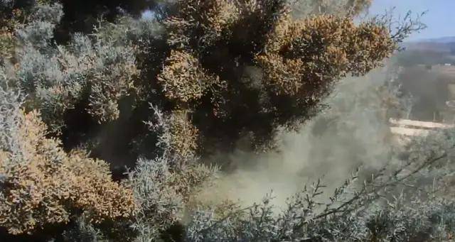 把灰尘放大几万倍后，我看到了彩色的世界