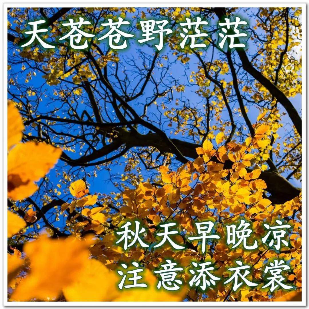 原创9张秋天清晨朋友早上好祝福语图片大全免打字秋日清晨早安问候语