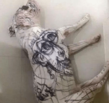 智商女子买菜将5岁的女儿和狗狗关在家里，回来看到眼前的一幕顿时不淡定了