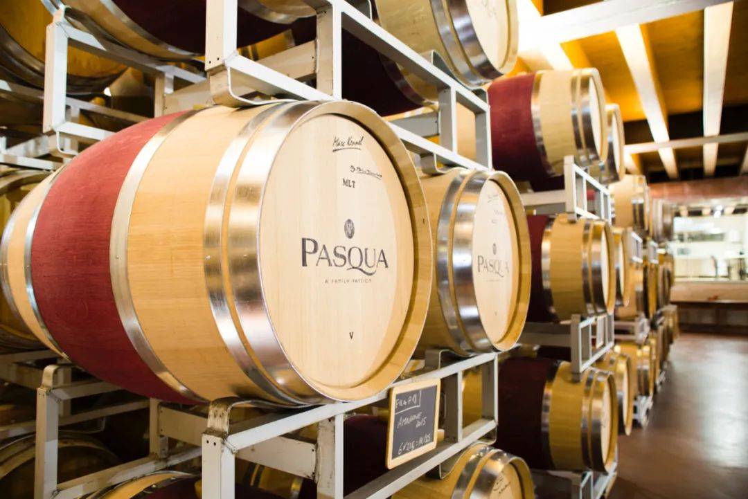 Wine|Falling Dreams｜一场葡萄酒与艺术的感官体验