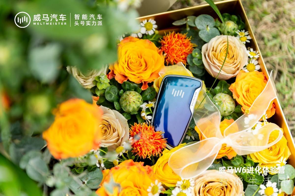 长沙威马望城砂之船店威马W6进化体验营圆满落幕_搜狐汽车_搜狐网