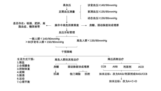 治疗|预防脑卒中，血压管理最关键