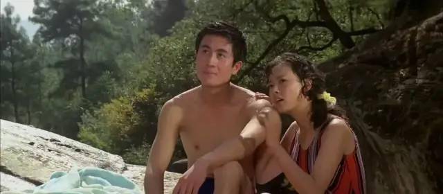 海市蜃楼|80年代十大“现象”佳片,《少林寺》1.6亿,《红高粱》获奖无数?