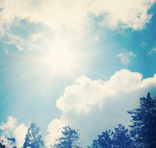 营养素|最伤害高中生的5种早餐!真后悔没早看到!(转给家长)