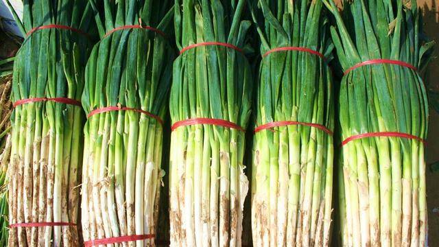 菠菜这样吃才叫香 不加调料不加高汤 鲜香味美 出锅瞬间就抢光 美食 全网搜 菠菜这样吃才叫香 不加调料不加高汤 鲜香味美 出锅瞬间就抢光 美食 全网搜
