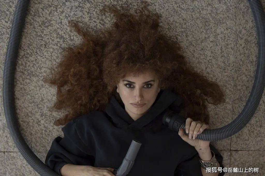 电影|《主竞赛》关于电影的喜剧电影