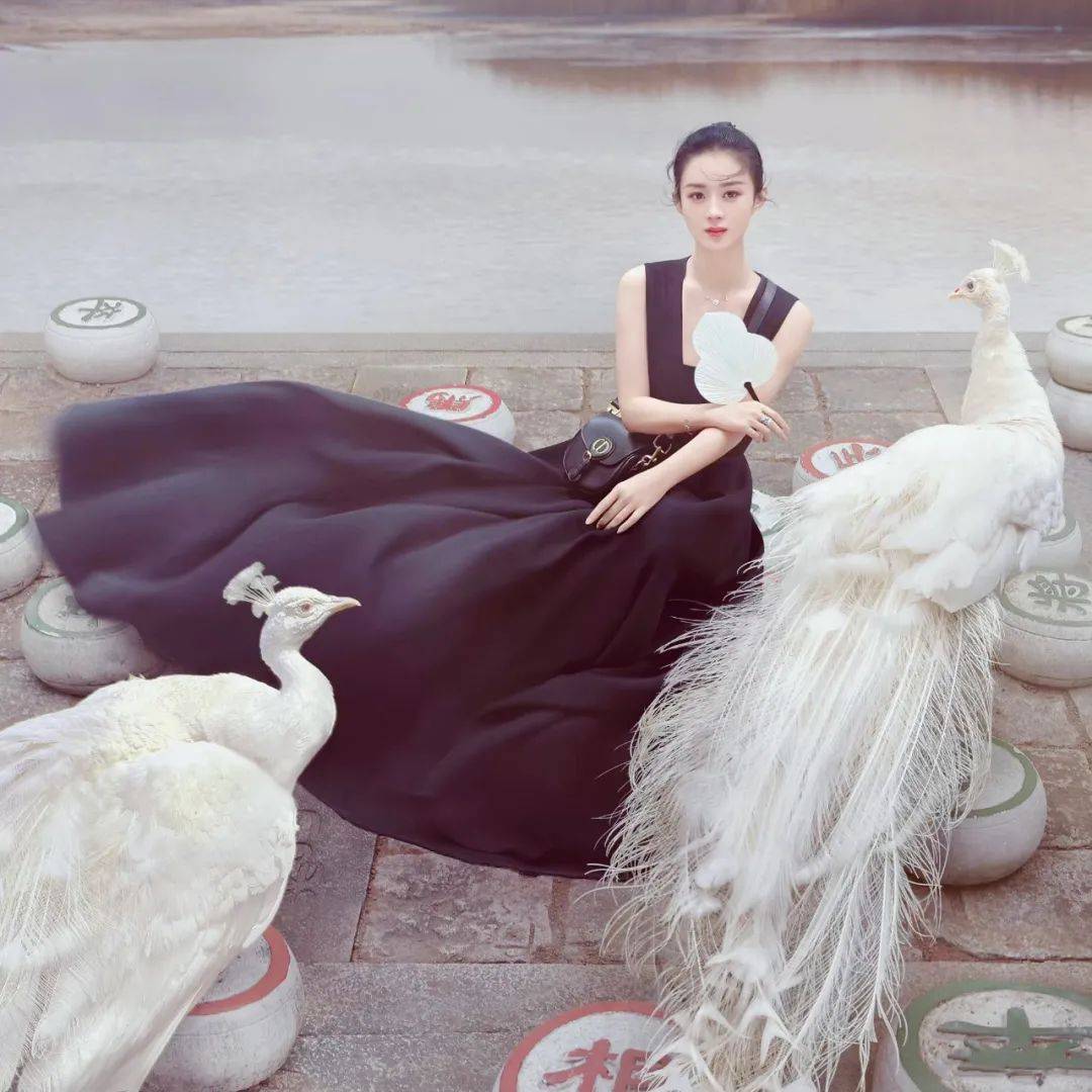 赵丽颖 离婚后的赵丽颖，携手写意国风拍大片！网友：美出天际