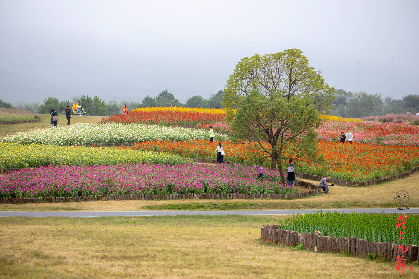 地方|冬瓜村 一个秋天里五彩斑斓的童话