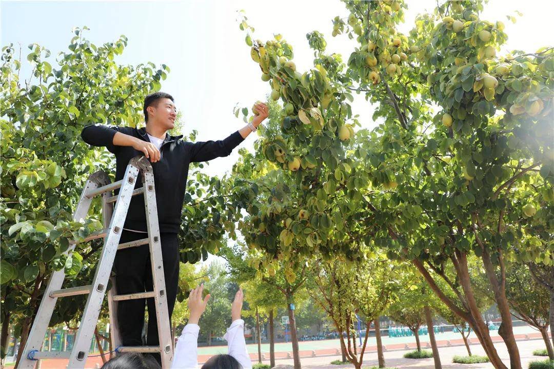 昆吾|木瓜情深 感恩莫忘丨濮阳市昆吾小学举行第三届“木瓜”主题文化活动