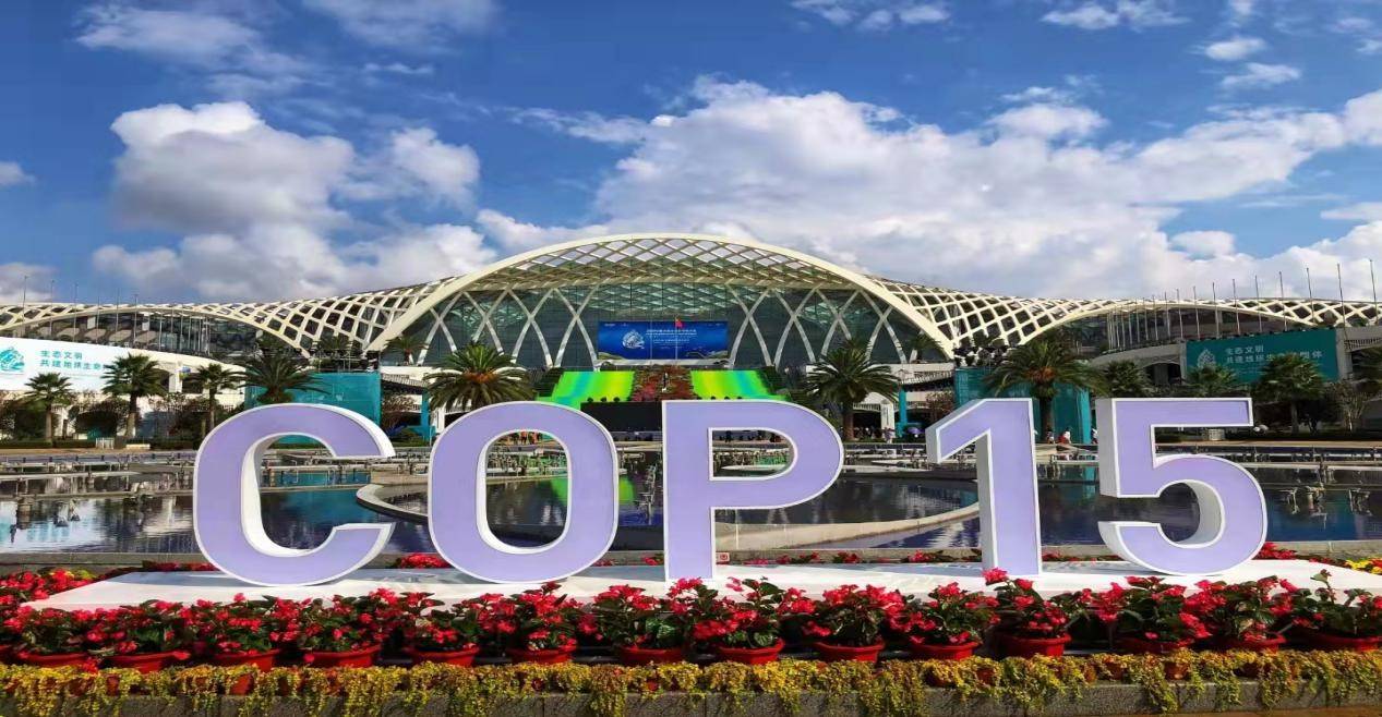 第十五次缔约方大会(cop15)第一阶段会议近日在中国昆明落幕