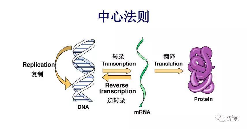 炎症10个网红9个专家，手把手教你如何毁容