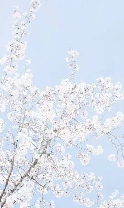 机理想要一次搞定抗衰+美白？这8个产品必须收好！
