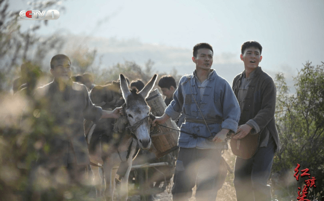 因为|全国收视第一！央视又一部“王炸剧”来了，网友大赞接地气