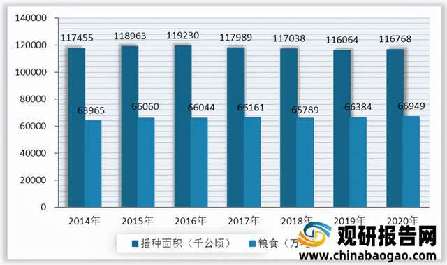 2021年中国粮食行业分析报告产业现状与发展前景评估