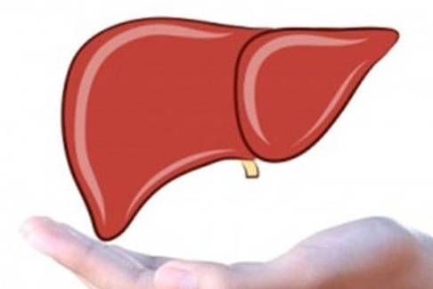 血液|身体有“四种反应”，是肝脏出了问题，抓紧三个黄金时间养肝吧！