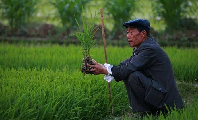 父亲|给这角色打“问号”李雪健脸红了