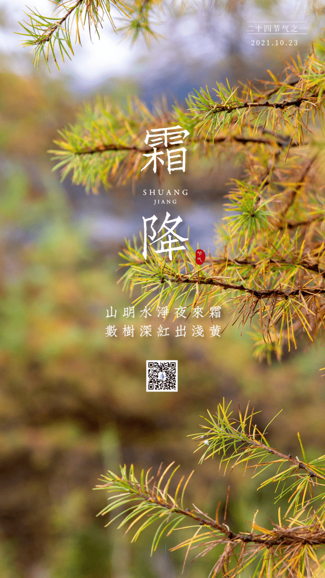 今日霜降 霜落嶲州 恍然暮秋至 水观音