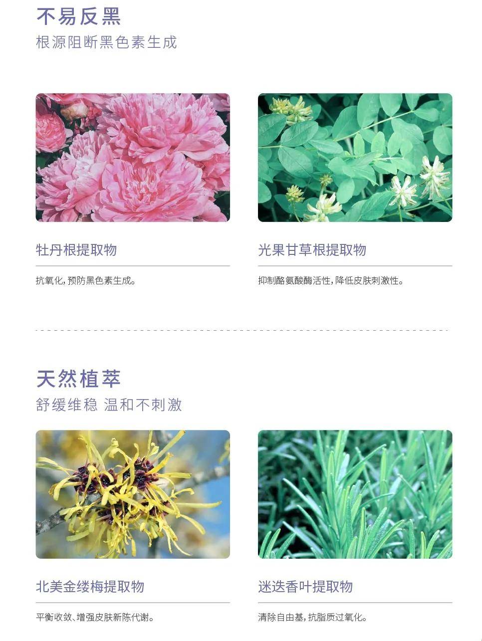 产品亮肤王炸 ▏拯救熬夜暗沉脸，皮肤嫩出baby肌！