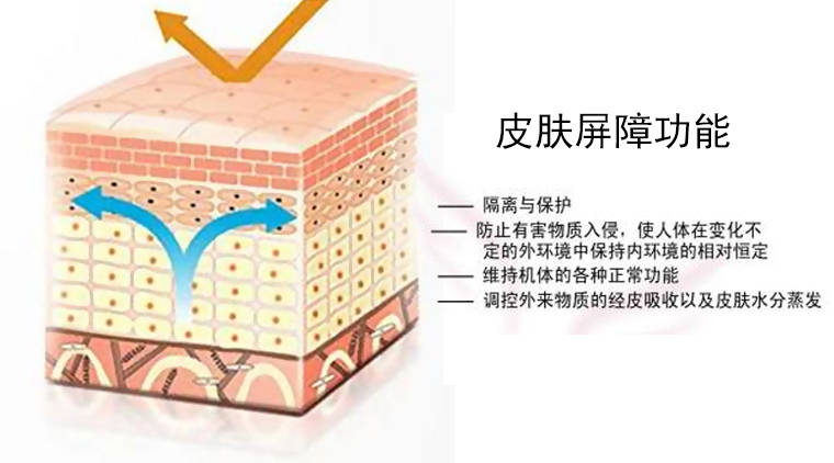 什么换季出现各种各样的皮肤问题，要考虑一下是不是皮肤屏障受损？