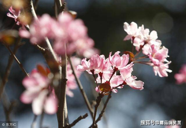 大年三十和立春在19年相遇 下一次又是哪一年呢 农历