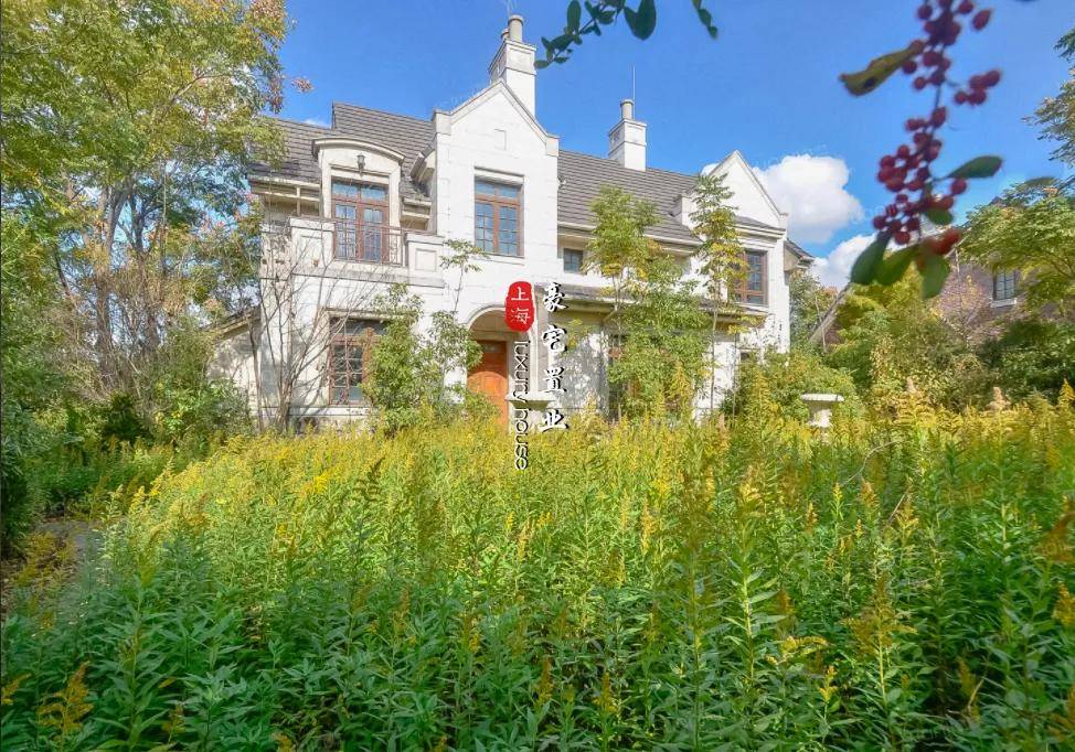 上海闵行中星红庐真是忒火了!快来关注一下!