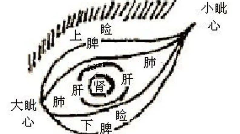 寶寶的面相自帶健康信號不用花錢的相面術