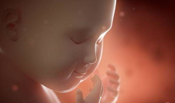 孕期18到40周的胎动变化 准爸爸准妈妈都来了解下 熊猫妈