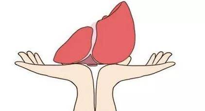 肝脏|医生提醒:乙肝最佳治疗时机看检查,已经耽误的请别犹豫