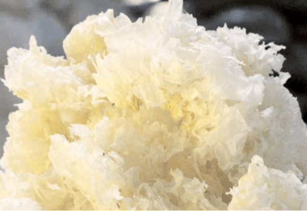 分子暨大科颜丨浅谈专业线产品成份对皮肤的应用及效果(下)