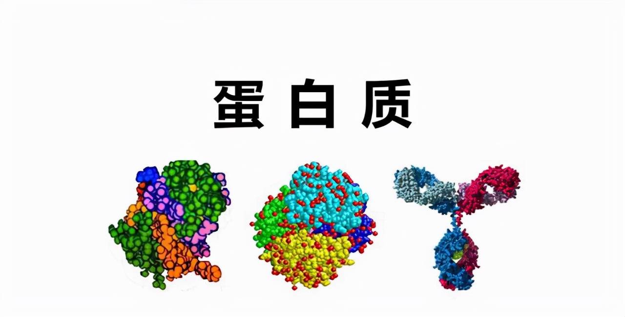 对抗即将而来的衰老,有件事应该要注意!