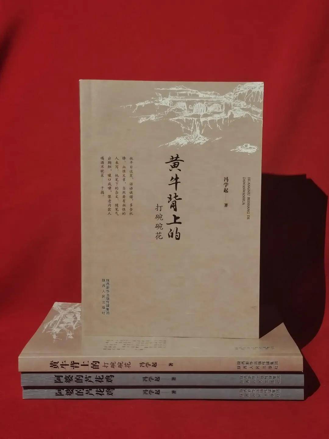 经历|与时光逆行者的背影丨延安职业技术学院作家冯学起新作出版