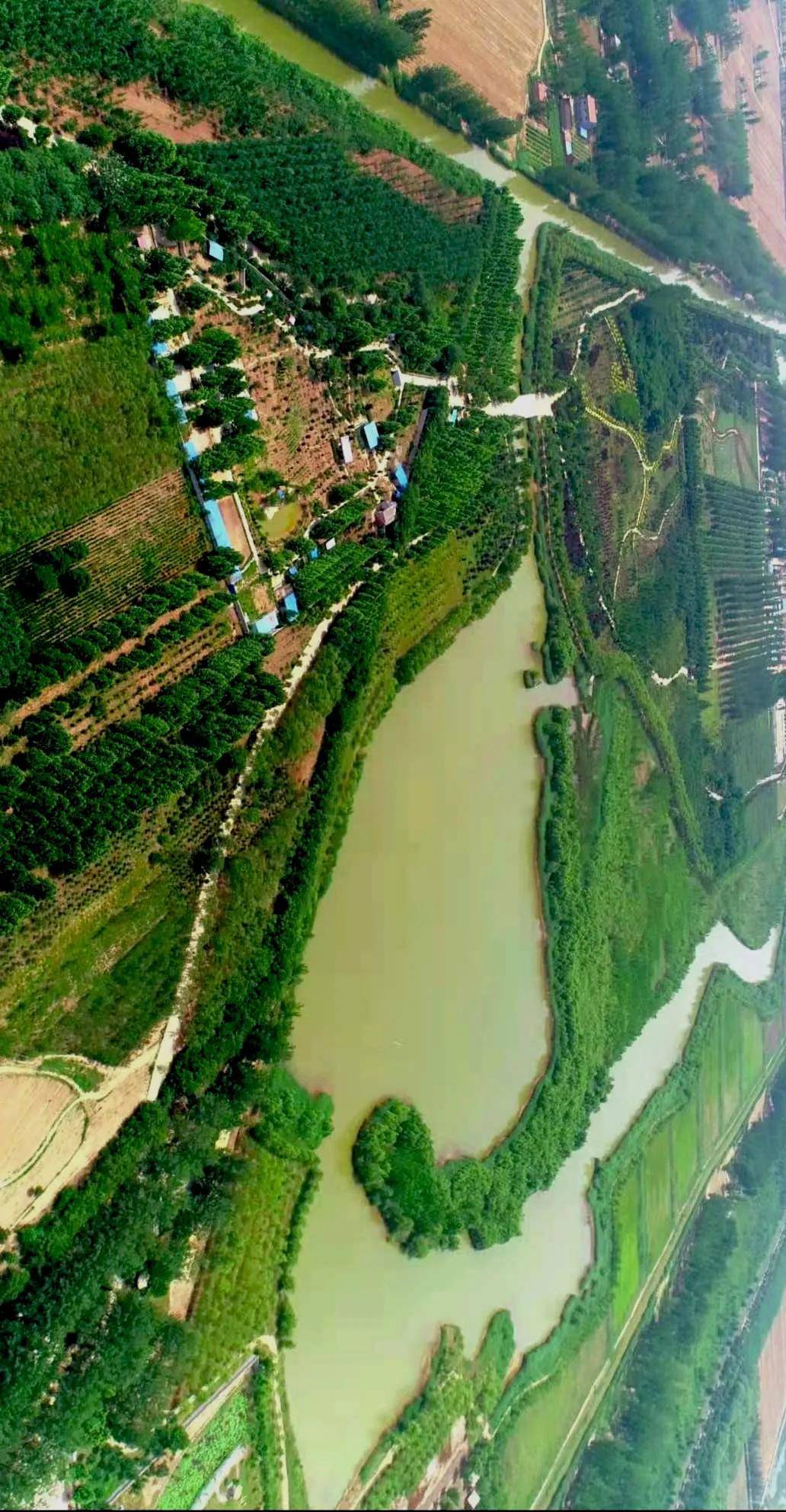 东明遇黄河在低洼里迸发出文化的昂扬黄河从这里入海专栏