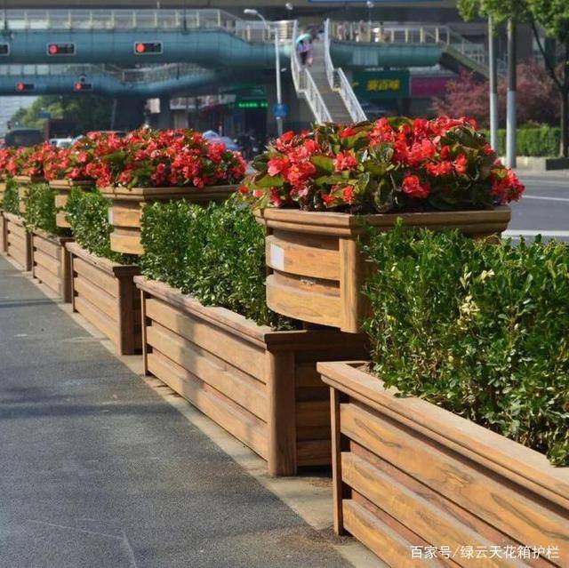花箱组合种植效果图花箱与绿植搭配经验分享