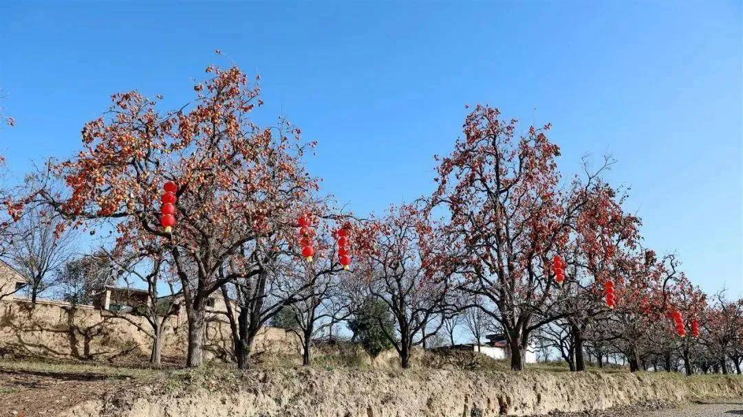 泾川县罗汉洞乡图片