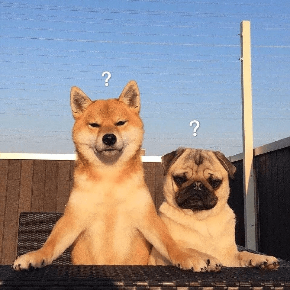 生活|守护我方胰岛功能，把健康放在口袋里